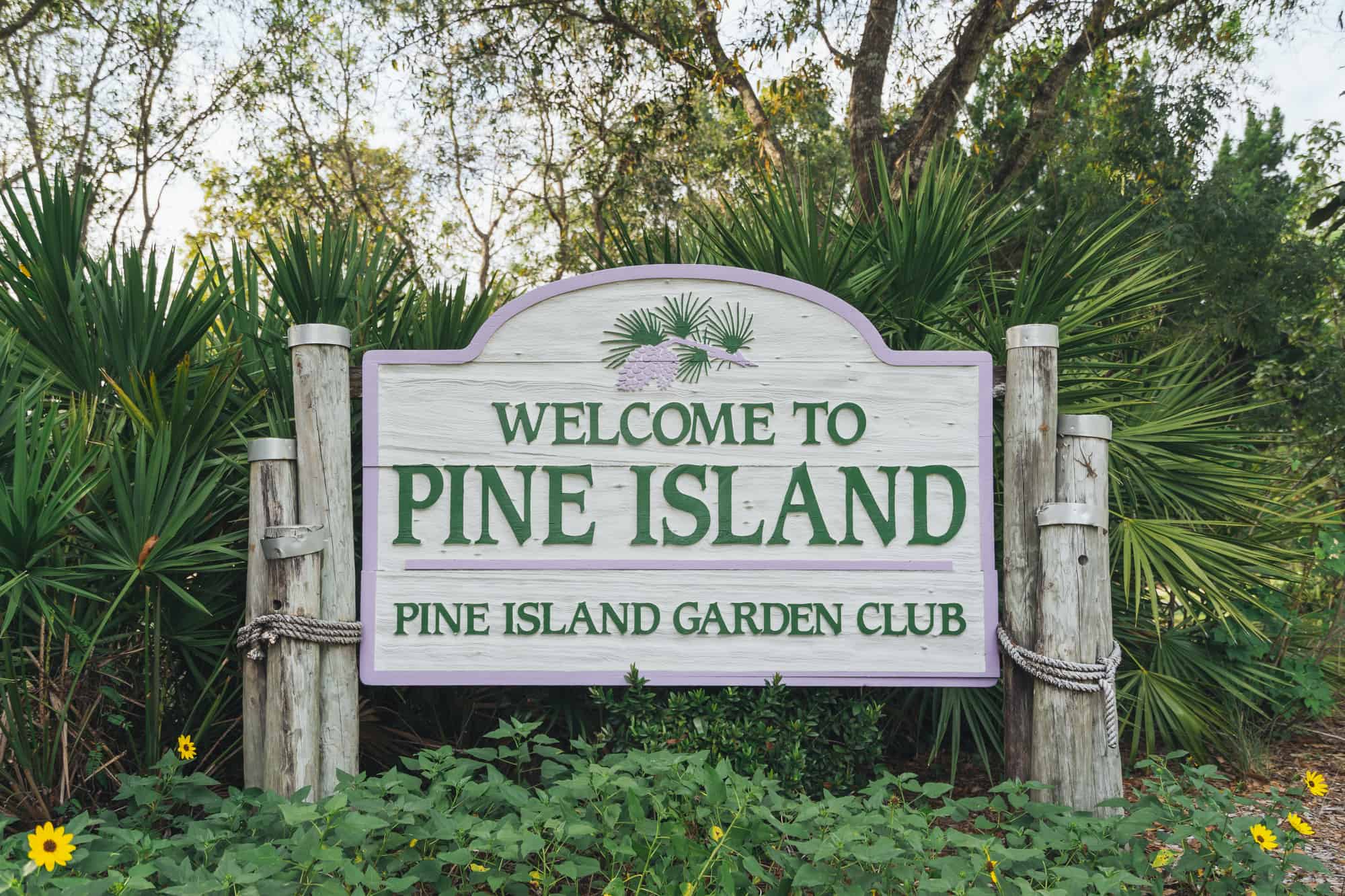 pine island florida